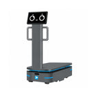 Alpha Panda AMR F300 industriel leveringsrobot