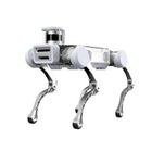 Deep Robotics X20 industriel firbenet robothund