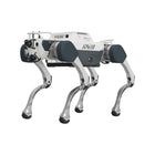 Deep Robotics X30 Pro industriel firbenet robothund