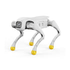 AGIBOT D1 Edu firbenet robot