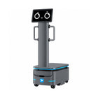 Alpha Panda AMR F150 industriel leveringsrobot