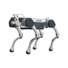 Deep Robotics X30 industriel firbenet robothund