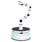 Realman Robotics RMC-BA kombineret robot